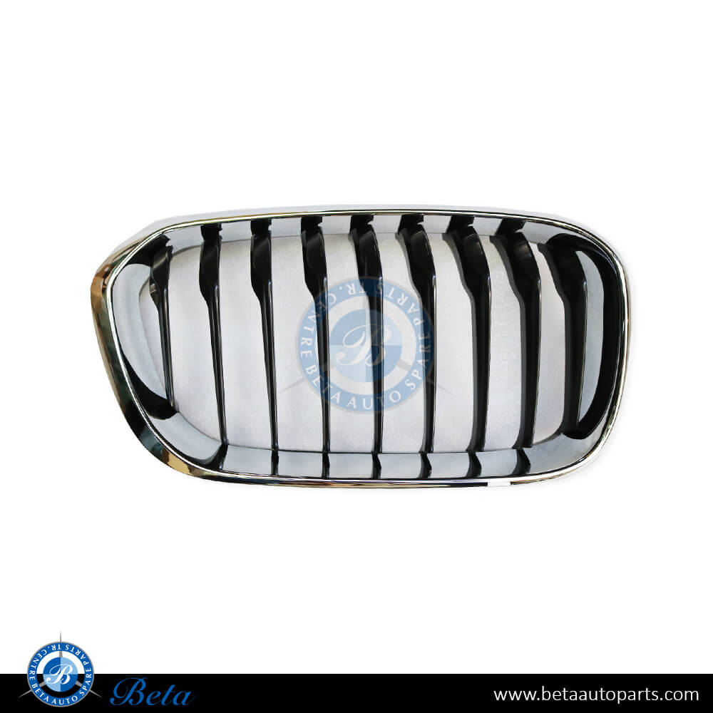 Right Side Radiator Grille Sport/M-Tek for BMW 1 Series F20/F21 LCI 2015-2019 models, Part Number 51137371686 Right Side Radiator Grille Sport/M-Tek for BMW 1 Series F20/F21 LCI 2015-2019 models, Part Number 51137371686